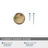 Amerock | Cabinet Knob | Oil Rubbed Bronze | 1-1/4 inch (32 mm) Diameter | Edona | 10 Pack | Drawer Knob | Cabinet Hardware(Burnished Brass)