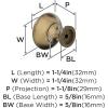 Amerock | Cabinet Knob | Oil Rubbed Bronze | 1-1/4 inch (32 mm) Diameter | Edona | 10 Pack | Drawer Knob | Cabinet Hardware(Burnished Brass)