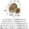 Amerock | Cabinet Knob | Oil Rubbed Bronze | 1-1/4 inch (32 mm) Diameter | Edona | 10 Pack | Drawer Knob | Cabinet Hardware(Champagne Bronze)