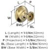 Amerock | Cabinet Knob | Oil Rubbed Bronze | 1-1/4 inch (32 mm) Diameter | Edona | 10 Pack | Drawer Knob | Cabinet Hardware(Polished Brass)