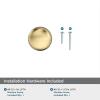 Amerock | Cabinet Knob | Oil Rubbed Bronze | 1-1/4 inch (32 mm) Diameter | Edona | 10 Pack | Drawer Knob | Cabinet Hardware(Polished Brass)