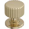 Amerock Ballard 1 inch (25mm) Diameter Matte Black Cabinet Knob, BP37640MB(Golden Champagne)