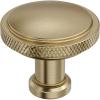 Amerock Faraday 2 inch (51mm) Length Matte Black Cabinet Knob, BP37741MB(Golden Champagne)