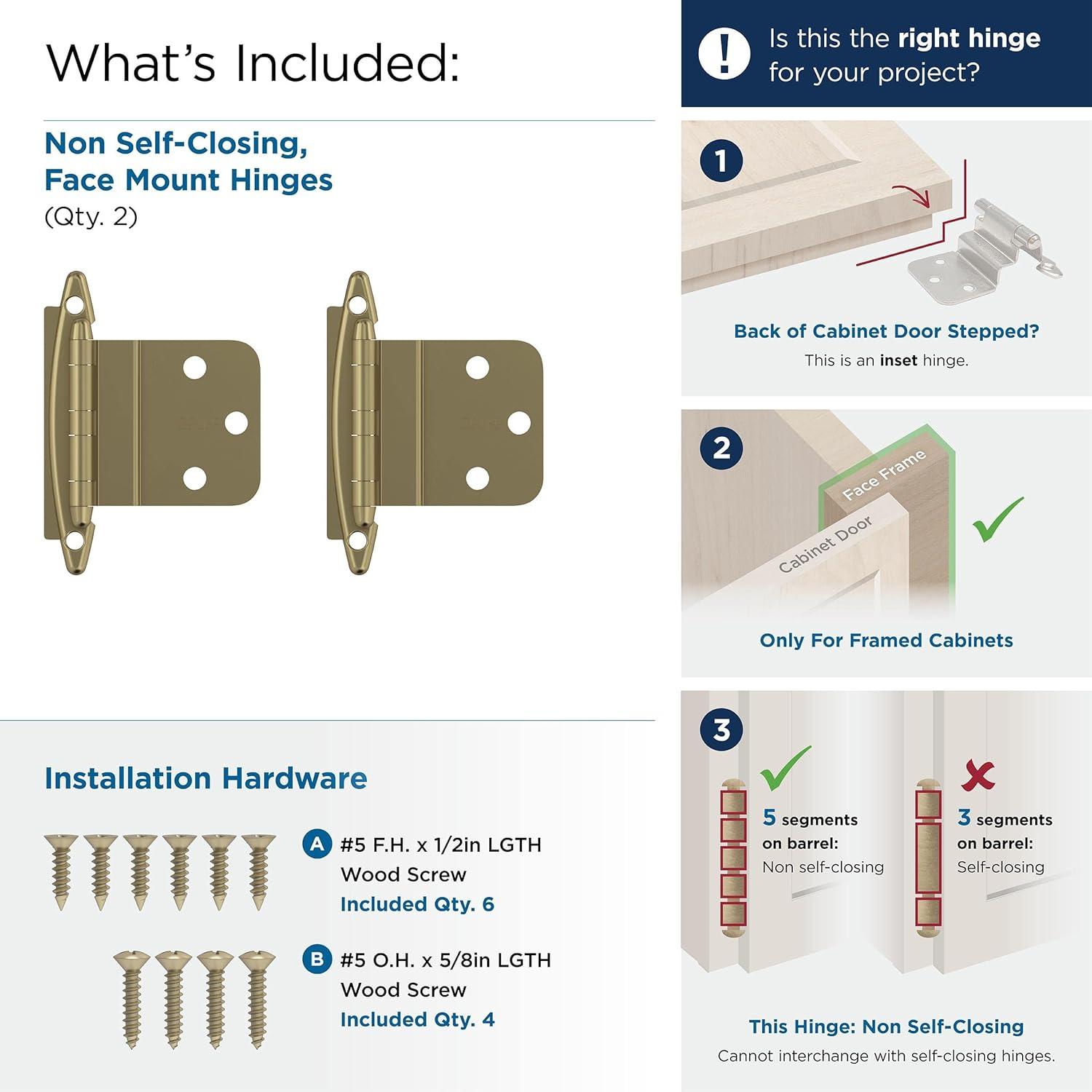 imageAmerock Cabinet Hinge 38 inch 10 mm Inset Polished Chrome 2 Pack SelfClosing Face Mount Cabinet DoorGolden Champagne