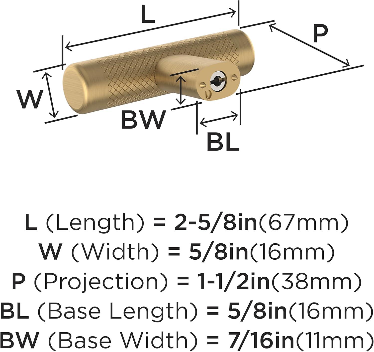 imageAmerock Cabinet Knob Polished NickelStainless Steel 258 inch 67 mm Length Esquire 1 Pack Drawer Knob Cabinet HardwareChampagne Bronze