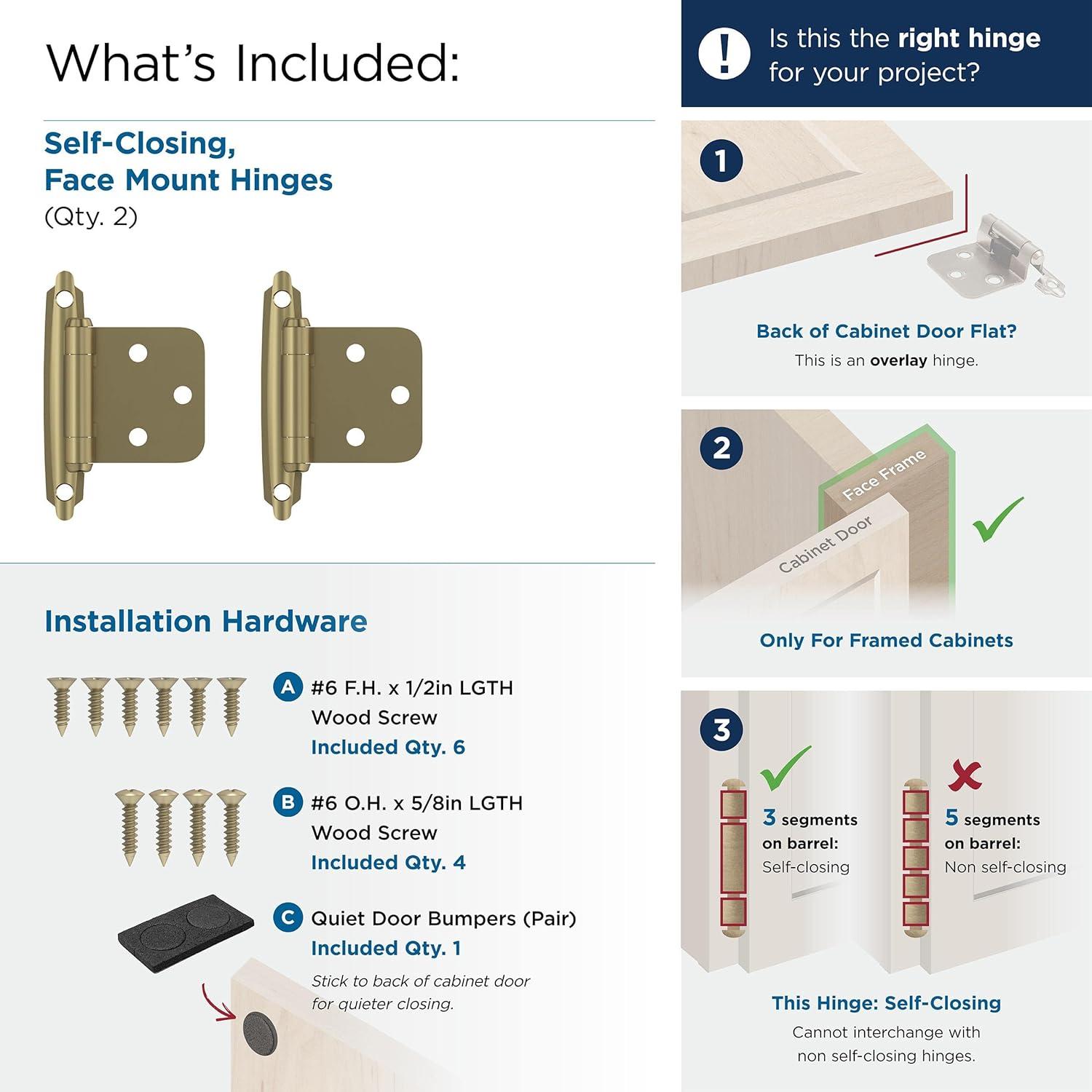 imageAmerock BPR3428BB Cabinet Hinge 38 in 10 mm Inset Self Closing Face Mount Burnished Brass Kitchen Cabinet Door Hinge 1 Pair2 Pack Functional HardwareGolden Champagne