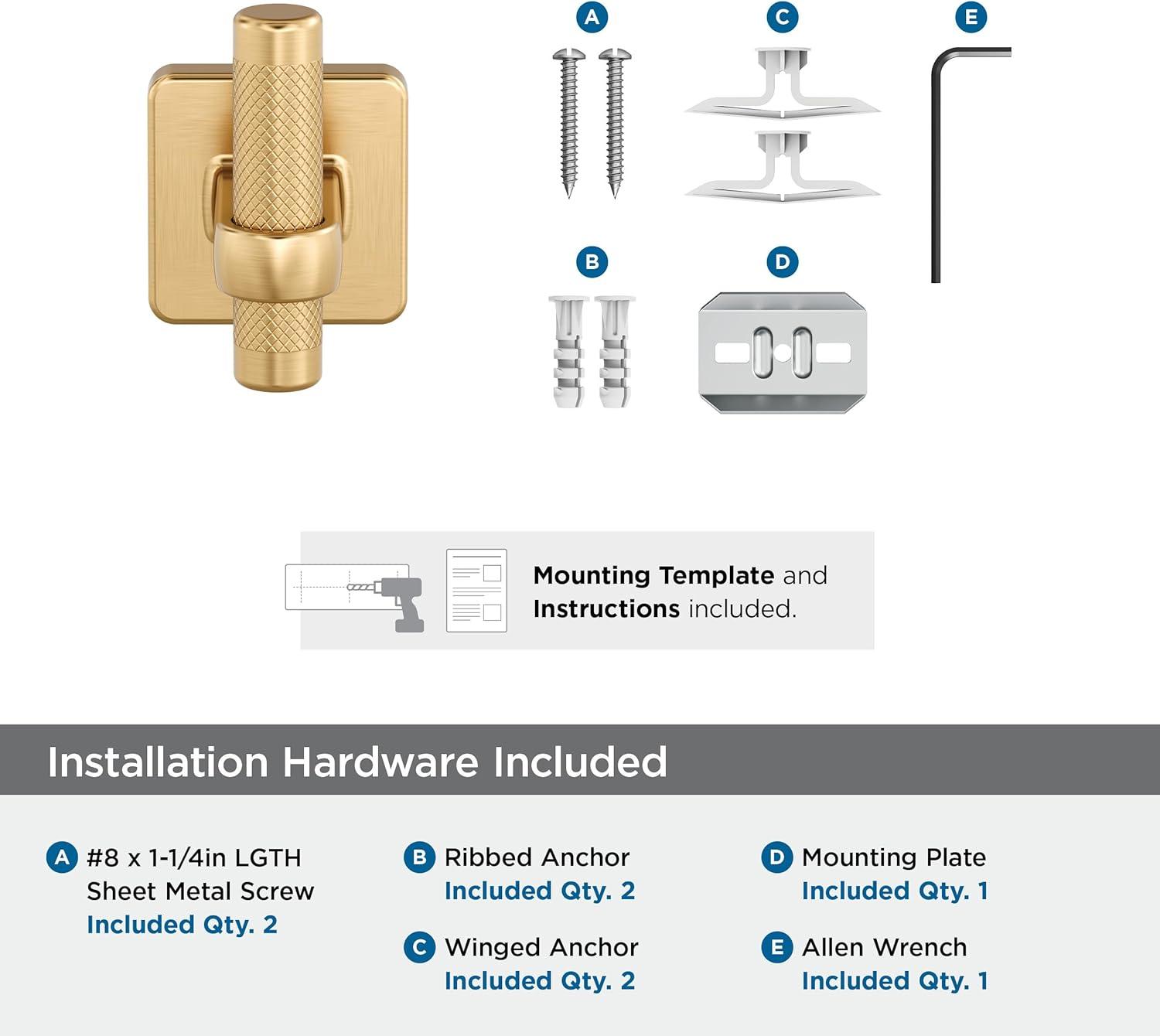 imageAmerock Corp BH36563G10 Bronx Robe Hook Brushed NickelChampagne Bronze