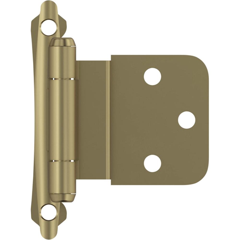 imageAmerock  Cabinet Hinge  38 inch 10 mm Inset Hinge  Satin Nickel  2 Pack  SelfClosing Hinge  Face Mount Hinge  Cabinet Door HingeGolden Champagne