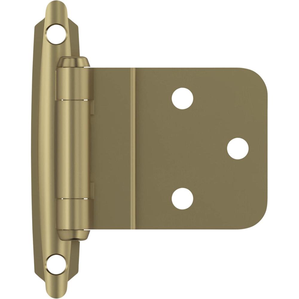 imageAmerock  Kitchen Cabinet Hinge  38 inch 10 mm Inset Hinge  Satin Nickel  10 Pack  SelfClosing Hinge  Face Mount Hinge  Cabinet Door HingeGolden Champagne