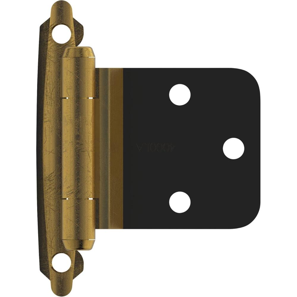 imageAmerock BPR7630AE Face Frame Cabinet Hinge Variable Overlay with a Reverse Bevel inge Antique Brass 2 Pack SelfClosing inge Face Mount inge Cabinet Door inge