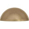 Amerock | Cabinet Cup Pull | Satin Nickel | 3 inch (76 mm) Center to Center | Sea Grass | 1 Pack | Drawer Pull | Drawer Handle | Cabinet Hardware(Golden Champagne)