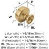 Amerock | Cabinet Knob | Black Bronze | 1-3/16 inch (30 mm) Diameter | Kane | 1 Pack | Drawer Knob | Cabinet Hardware(Champagne Bronze)