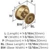 Amerock | Cabinet Knob | Black Bronze | 1-3/16 inch (30 mm) Diameter | Westerly | 1 Pack | Drawer Knob | Cabinet Hardware(Champagne Bronze)