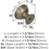 Amerock | Cabinet Knob | Black Bronze | 1-3/16 inch (30 mm) Diameter | Westerly | 1 Pack | Drawer Knob | Cabinet Hardware(Golden Champagne)