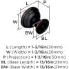 Amerock | Cabinet Knob | Black Bronze | 1-3/16 inch (30 mm) Diameter | Westerly | 1 Pack | Drawer Knob | Cabinet Hardware(Oil Rubbed Bronze)