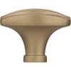 Amerock | Cabinet Knob | Golden Champagne | 1-1/2 inch (38 mm) Length | Sea Grass | 1 Pack | Drawer Knob | Cabinet Hardware(Golden Champagne)