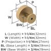 Amerock | Cabinet Knob | Matte Black | 1-1/4 inch (32 mm) Diameter | Radius | 1 Pack | Drawer Knob | Cabinet Hardware(Champagne Bronze)