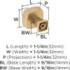 Amerock | Cabinet Knob | Matte Black | 1-1/4 inch (32 mm) Length | Stature | 1 Pack | Drawer Knob | Cabinet Hardware(Champagne Bronze)