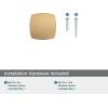 Amerock | Cabinet Knob | Matte Black | 1-1/4 inch (32 mm) Length | Stature | 1 Pack | Drawer Knob | Cabinet Hardware(Champagne Bronze)