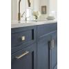 Amerock | Cabinet Knob | Matte Black | 1-3/16 inch (30 mm) Length | Monument | 1 Pack | Drawer Knob | Cabinet Hardware(Golden Champagne)