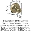 Amerock | Cabinet Knob | Polished Chrome | 1-1/4 inch (32 mm) Diameter | Factor | 1 Pack | Drawer Knob | Cabinet Hardware(Golden Champagne)