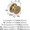 Amerock | Cabinet Knob | Polished Chrome | 1-1/4 inch (32 mm) Diameter | Ravino | 1 Pack | Drawer Knob | Cabinet Hardware(Champagne Bronze)
