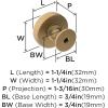 Amerock | Cabinet Knob | Polished Chrome | 1-1/4 inch (32 mm) Diameter | Winsome | 1 Pack | Drawer Knob | Cabinet Hardware(Champagne Bronze)