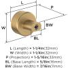 Amerock | Cabinet Knob | Polished Nickel/Stainless Steel | 2-5/8 inch (67 mm) Length | Esquire | 1 Pack | Drawer Knob | Cabinet Hardware(Champagne Bronze)