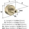 Amerock | Cabinet Knob | Polished Nickel/Stainless Steel | 2-5/8 inch (67 mm) Length | Esquire | 1 Pack | Drawer Knob | Cabinet Hardware(Golden Champagne)