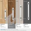 Amerock | Cabinet Pull | Clear/Polished Chrome | 5-1/16 inch (128 mm) Center to Center | Glacio | 1 Pack | Drawer Pull | Drawer Handle | Cabinet Hardware(Clear/Polished Chrome)