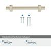 Amerock | Cabinet Pull | Matte Black | 6-5/16 inch (160 mm) Center to Center | Carrigan | 1 Pack | Drawer Pull | Drawer Handle | Cabinet Hardware(Silver Champagne)