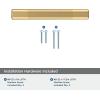 Amerock | Kitchen Cabinet Pull | Golden Champagne | 6-5/16 in (160 mm) Center-to-Center | Bronx | 1 Pack | Furniture Hardware | Cabinet Handle | Bathroom Drawer Pull(Champagne Bronze)