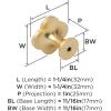 Amerock 2PK36971PNK Accents Round Cabinet Knob | Furniture Knob | Gold/Pink Decorative Drawer Pull(Gold/Mother of Pearl)