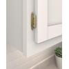 Amerock BPR762926 | Face Frame Cabinet Hinge | Variable Overlay Hinge | Polished Chrome | 2 Pack | Self-Closing Hinge | Kitchen Cabinet Door Hinge | 1 Pair/2 Pack | Functional Hardware(Golden Champagne)