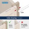 Amerock BPR8704CZ | Cabinet Hinge | 1/2 in (13 mm) Overlay Double Demountable | Champagne Bronze | Kitchen Cabinet Door Hinge | 1 Pair/2 Pack | Functional Hardware(Golden Champagne)