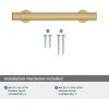 Amerock Corp BP37111CZ Everett Appliance Pull, 18 in (457 mm) Center-to-Center, Champagne Bronze(Champagne Bronze)
