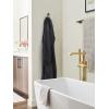 Amerock HBX37012MB | Unison Single Prong Decorative Wall Hook | Matte Black Hook for Coats, Hats, Backpacks, Bags | Hooks for Bathroom, Bedroom, Closet, Entryway, Laundry Room, Office(Matte Black/Golden Champagne)