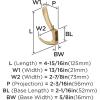 Amerock HBX37013CZ | Finesse Triple Prong Decorative Wall Hook | Champagne Bronze Hook for Coats, Hats, Backpacks, Bags | Hooks for Bathroom, Bedroom, Closet, Entryway, Laundry Room, Office(Champagne Bronze)