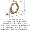 Amerock HBX37015BBZ | Prismo Single Prong Decorative Wall Hook | Golden Champagne Hook for Coats, Hats, Backpacks, Bags | Hooks for Bathroom, Bedroom, Closet, Entryway, Laundry Room, Office(Champagne Bronze)