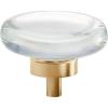 Amerock | Cabinet Knob | Clear/Oil-Rubbed Bronze | 1-3/4 inch (44 mm) Diameter | Glacio | 1 Pack | Drawer Knob | Cabinet Hardware(Clear/Champagne Bronze)