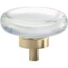 Amerock | Cabinet Knob | Clear/Oil-Rubbed Bronze | 1-3/4 inch (44 mm) Diameter | Glacio | 1 Pack | Drawer Knob | Cabinet Hardware(Clear/Golden Champagne)