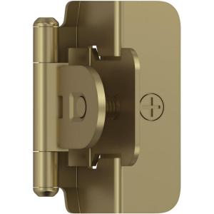 Amerock | Double Demountable Cabinet Hinge | 3/8 inch (10 mm) Inset Hinge | Satin Nickel | 2 Pack | Self-Closing Hinge | Cabinet Door Hinge(Golden Champagne)