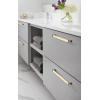 Amerock | Cabinet Pull | Satin Nickel/Polished Chrome | 3-3/4 inch (96 mm) Center to Center | Overton | 1 Pack | Drawer Pull | Drawer Handle | Cabinet Hardware(Brushed Gold/Black Chrome)