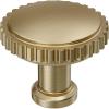 Amerock Farewind 1-1/4 inch (32mm) Diameter Satin Nickel Cabinet Knob, BP37800G10(Golden Champagne)