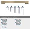 Amerock | Appliance Pull | Antique Silver | 12 inch (305 mm) Center to Center | Candler | 1 Pack | Drawer Pull | Drawer Handle | Cabinet Hardware(Golden Champagne)