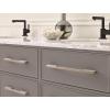 Amerock | Cabinet Pull | Polished Chrome | 6-5/16 inch (160 mm) Center to Center | Separa | 1 Pack | Drawer Pull | Drawer Handle | Cabinet Hardware(Silver Champagne)