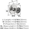 Amerock 10BX3702526 | Polished Chrome Cabinet Knob | 1-3/16 inch (30mm) Diameter | 30 Pack | Loop | Furniture Hardware