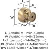 Amerock Chalice 1-1/4 inch (32mm) Diameter Champagne Bronze Cabinet Knob – 10 Pack(Champagne Bronze)